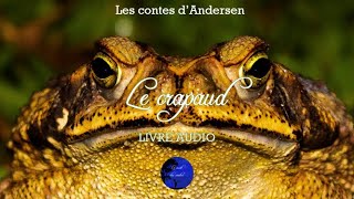 Le crapaud  Les contes dAndersen Livre Audio [upl. by Tigges731]