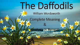 The Daffodils by William Wordsworth Analysis in Bengali [upl. by Eppesiug797]