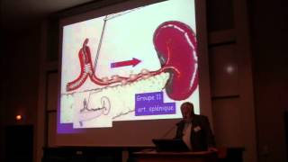 Traitement chirurgical de ladénocarcinome gastrique  Pr Denis PEZET ClermontFerrand CHU [upl. by Zeeba]