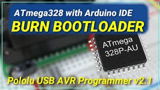 Burn Bootloader  Atmega328P using Pololu AVR [upl. by Ahsiaa]