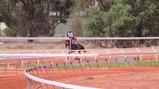 Charleville 20241105 Race 1 [upl. by Ciprian378]