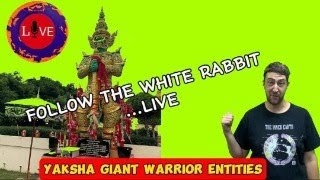 Yaksha Guardian Warrior Entities Live [upl. by Euginom]