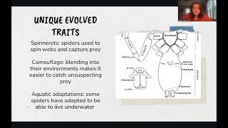 Exploring Protostomes Spiders [upl. by Hughmanick]