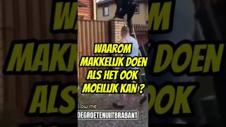 HET ARRESTATIETEAM🤔🤣 arestatieteam politie inval dsi trending grappig youtubeshorts [upl. by Maitland606]