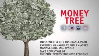 Philam Lifes Money Tree [upl. by Ahael]