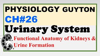 Ch26 Physiology Guyton  Urinary System Functional Anatomy amp Urine Formation  Renal Physiology [upl. by Ordnajela]