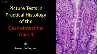 Picture tests in histology of the gastrointestinal system 4 [upl. by Enihpets777]