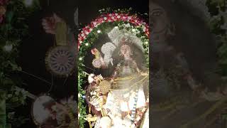 shorts aschsbochoraberhoba🙏🙏jagadhatriapuja highlights dhak bisorjon festival maa vagban [upl. by Mathews10]