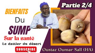 Vertus du SUMP dattier du désert par Oustaz Oumar Sall HA  Partie 24 [upl. by Timmi728]