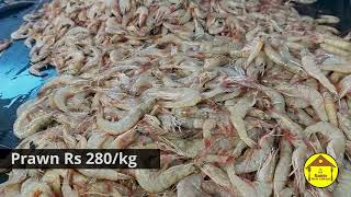 Vanagaram fish marketபெரிய போட் காசிமேட்டுல போக ஆரம்பிச்சா வானகரத்தில மீன் விலை குறையுமா [upl. by Pitarys]