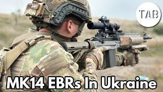 Mk14 Enhanced Battle Rifles in Ukraine [upl. by Kermie]