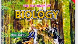 11 BIOCHEMSITRY INTRODUCTION CONDENSATION AND HYDROLYSIS  NEW STB XI BIOLOGY [upl. by Enneibaf]