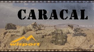 WISPORT Caracal [upl. by Scheider385]