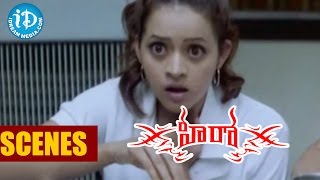 Nithins Hero Movie Scenes  Brahmanandam Comedy Scene in Police Academy [upl. by Sucramat]