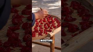 Processing Roselle Candies [upl. by Adis]