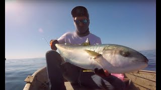 Pesca de jureles yellowtail en quotlos corralesquot Ensenada [upl. by Dorie]