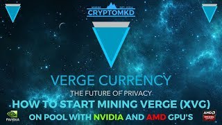 How to start mining Verge XVG on pool with NVIDIA and AMD GPUs [upl. by Luy810]