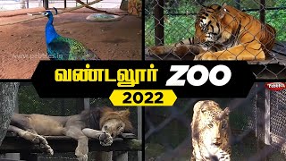 VANDALUR ZOO 2022  Arignar Anna Zoological ParkVandalurChennai  Chennai ZOO [upl. by Atirat771]