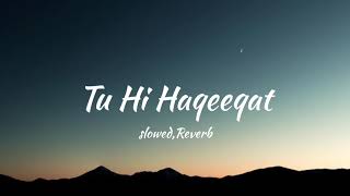 Tu Hi Haqeeqat song  slowedreverb I lofi song  Javed Ali [upl. by Elbertina36]