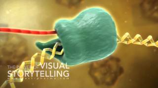 Hepatitis B Treatment Mode of Action Animation [upl. by Shem]