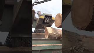 Debarking logs [upl. by Saint]