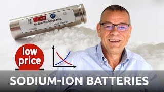 Prof Stefano Passerini  Low Costs will drive SodiumIon Batteries  Battery Podcast [upl. by Lester]