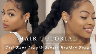 Hair Tutorial Single Braided Pony on Healthy Natural Hair  Minimal Heat  Healthy Hair Styling [upl. by Harelda]