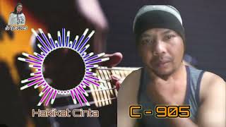 Hakikat Cinta  Cover karaoke By C  905 [upl. by Ahsienauq70]