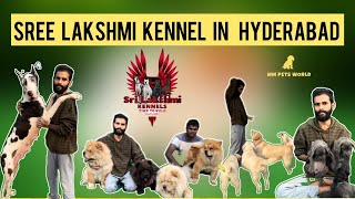 Part  1 top kennel in Hyderabad Telugu  Sree Lakshmi kennel visit hyderabad india telugu dog [upl. by Farl]