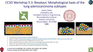 CC3D WS 533 Lung Adenocarcinoma Model Connecting CC3DML and Python James Sluka August 2 2024 [upl. by Etteoj]