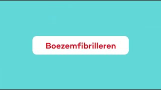 Wat is Boezemfibrilleren [upl. by Ebbie]