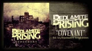 Bedlamite Rising  Covenant feat Cory Brunnemann of Through Arteries [upl. by Hakilam442]