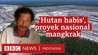 Food Estate Hutan habis ribuan hektare kebun dan sawah gagal panen  BBC News Indonesia [upl. by Nanda]