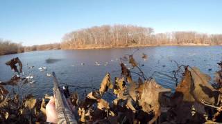 Central Illinois Duck Hunting 20132015 ft Team Towhead [upl. by Renfred]