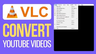 How to Convert Youtube Video to MP3MP4 2024  Best Method [upl. by Cherye]