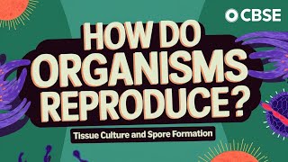 How Do Organisms Reproduce Tissue Culture  Spore formation Class 10  CBSE [upl. by Marylynne]