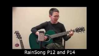 RainSong Parlor P12 and P14 Comparison [upl. by Gabriellia]