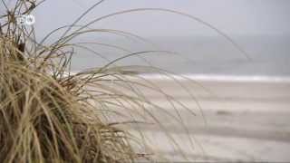 Die Nordseeinsel Sylt im Winter  Euromaxx [upl. by Maurice]