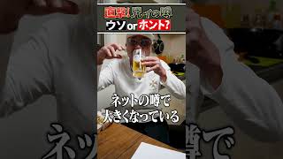 【噂の真相】小沢仁志vs本宮泰風 若かりし日に「ぶっ飛ばした」ってマジ！？【嘘or本当？】 [upl. by Rodnas681]