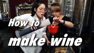 How to MAKE WINE in FRANCE 🍷Merlot Cabernet Sauvignon [upl. by Mellar162]