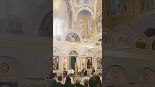 Serbian Patriarch Porfirije blessing the faithful in the Saint Savas temple in Belgrade Serbia [upl. by Zoilla]