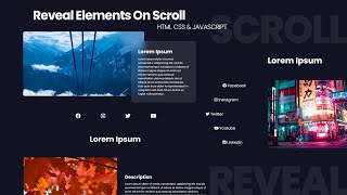 How to Make Website with Scroll Reveal Effects  Reveal Elements On Scroll  HTML CSS amp Javascript [upl. by Esened]