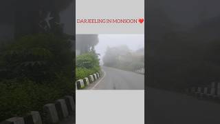 DARJEELING IN MONSOON ❤️  SubhTanu Diaries darjeeling darjeelingvibes youtubeshorts trending [upl. by Aibonez]