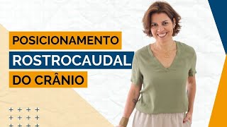 Projeção rostrocaudal do crânio de cães [upl. by Alul802]