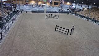 Topeka Livestock Auction Live Stream [upl. by Schreibman]