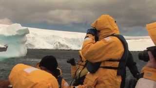 Day in the Life Falkland Islands and South Georgia Antarctica [upl. by Novak]