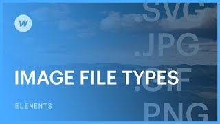 Image file types JPG PNG SVG GIF  Web design tutorial [upl. by Ashbaugh]