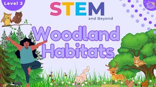 Woodland Habitats KS1 Year 2 Science  STEM Home Learning [upl. by Edric94]