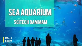 SEA Aquarium  Scitech  Alkhobar Dammam  SEA Aquarium Walking Tour 2022 [upl. by Ellehcem780]