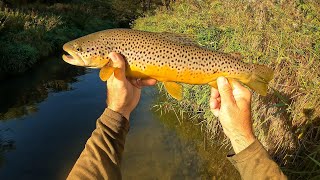 Wisconsin Trout Fishing  9282024 [upl. by Mauretta]